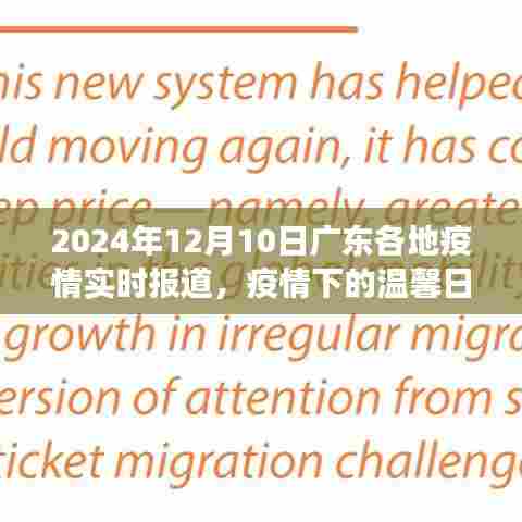 广东疫情下的冬日故事,温馨日常的实时报道(2024年12月10日)