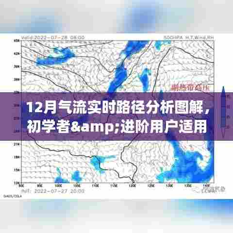 12月气流实时路径分析图解详解,从初学者到进阶用户的制作步骤与解析