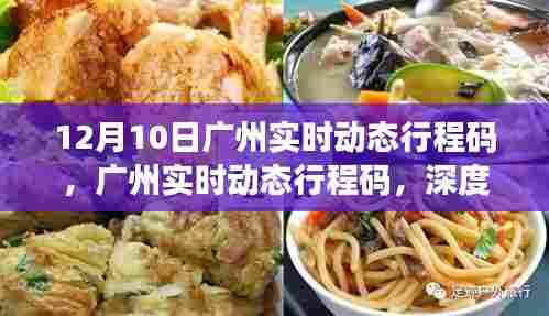 广州实时动态行程码深度解析与用户体验报告（12月10日）