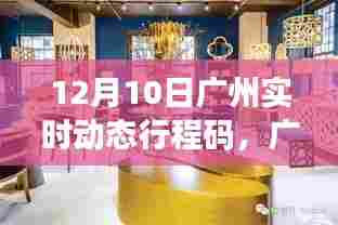 广州实时动态行程码深度解析与用户体验报告(12月10日)