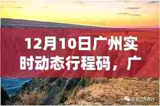 广州实时动态行程码深度解析与用户体验报告(12月10日)