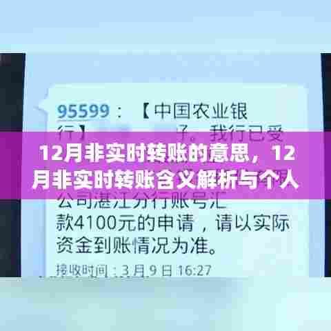 12月非实时转账解析,含义与个人立场探讨