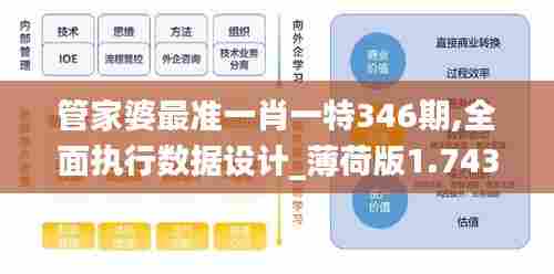 管家婆最准一肖一特346期,全面执行数据设计_薄荷版1.743