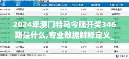 2024年澳门特马今晚开奖346期是什么,专业数据解释定义_投资版8.148