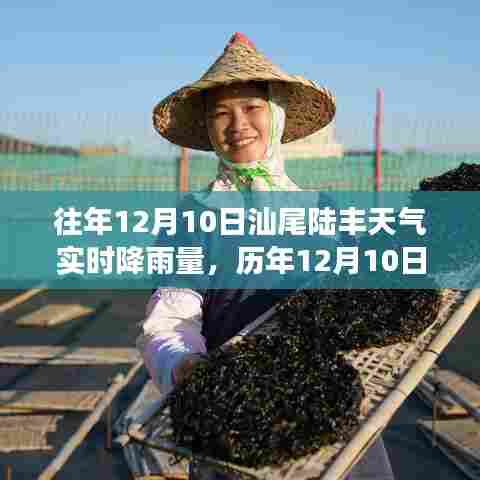 揭秘汕尾陆丰历年与实时天气,深度解析降雨背后的故事,实时数据大揭秘