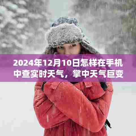 2024年手机实时天气预测新纪元，轻松掌握天气巨变