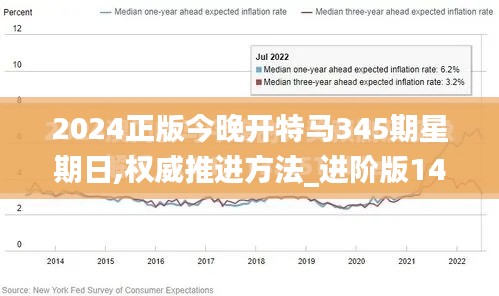 2024正版今晚开特马345期星期日,权威推进方法_进阶版14.224