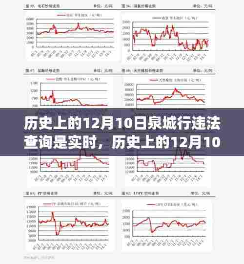 泉城行违法查询实时性演变与进展，历史视角下的12月10日实时查询系统解析