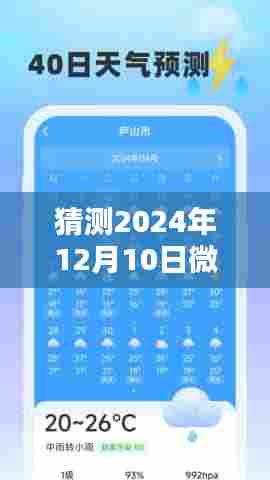 2024年微信车辆实时轨迹预测，技术革新与影响分析