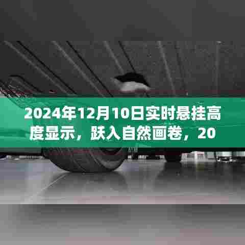 悬挂高度之旅启程，跃入自然画卷的奇幻体验