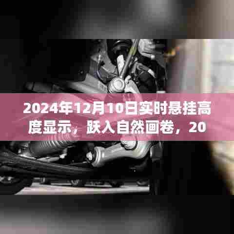 悬挂高度之旅启程,跃入自然画卷的奇幻体验
