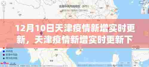 天津疫情实时更新与多维度视角分析,12月10日最新动态