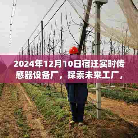 宿迁实时传感器设备厂未来展望，探索未来工厂发展蓝图（2024年视角）