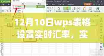 WPS表格实时汇率功能应用与更新体验分享，12月10日解读