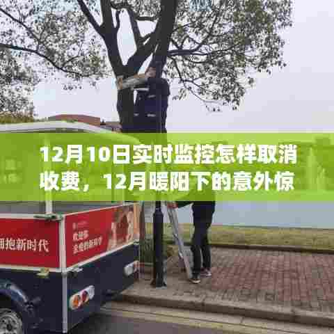 暖阳下的意外惊喜，取消监控收费的小故事与实时监控费用解析