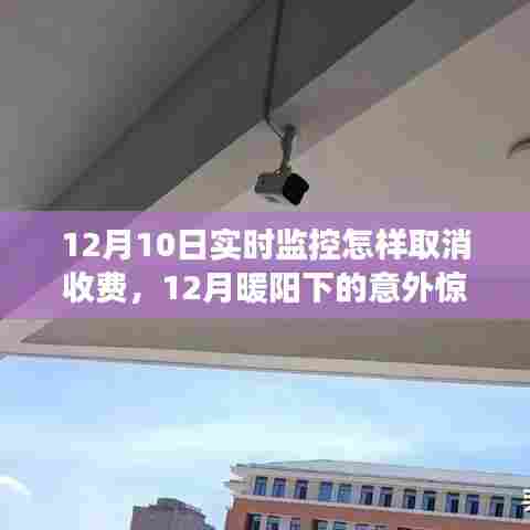 暖阳下的意外惊喜,取消监控收费的小故事与实时监控费用解析