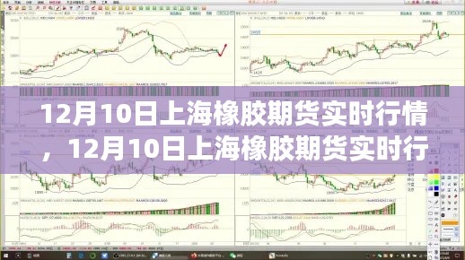 12月10日上海橡胶期货实时行情深度解析,市场走势、影响因素与案例分析