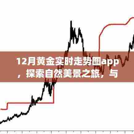 黄金走势与自然美景的双重探索，奇迹之旅APP引领宁静平和之旅