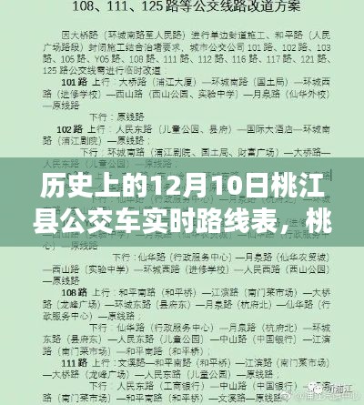 桃江县公交历史之旅，追寻内心的宁静与美景，探寻公交路线变迁与美景交融的历程