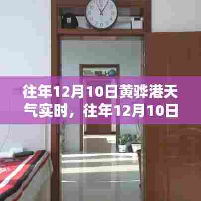 往年12月10日黄骅港天气深度测评与实时介绍