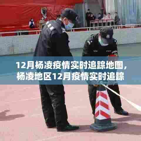 12月杨凌疫情实时追踪地图使用指南，全面解析地区疫情动态