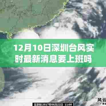 12月10日深圳台风动态及影响分析,上班决策参考指南