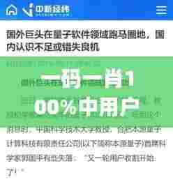 一码一肖100%中用户评价,专家评估说明_mShop4.643