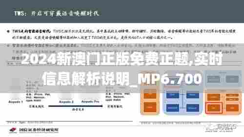 2024新澳门正版免费正题,实时信息解析说明_MP6.700