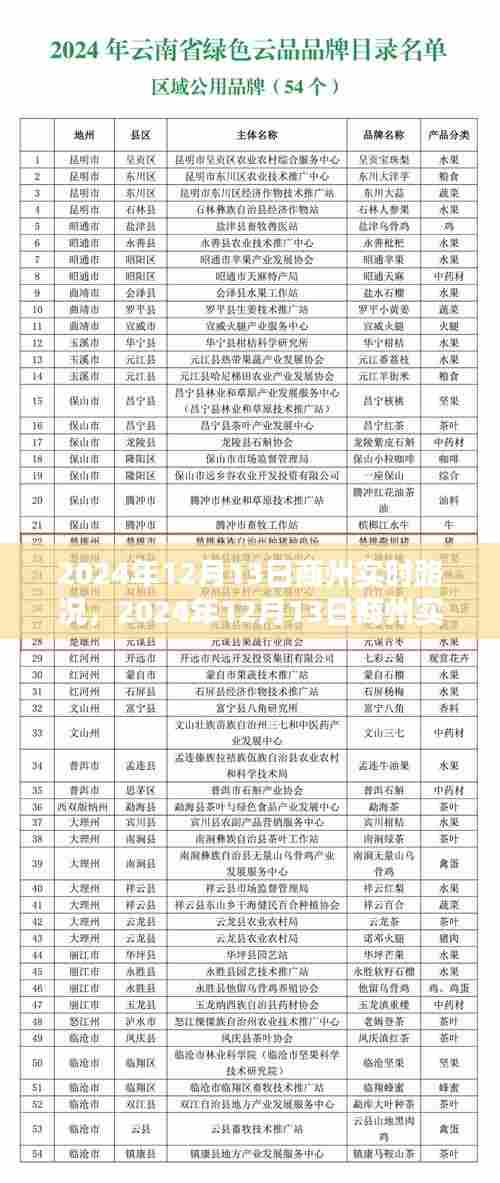 2024年12月13日商州实时路况分析与观点阐述