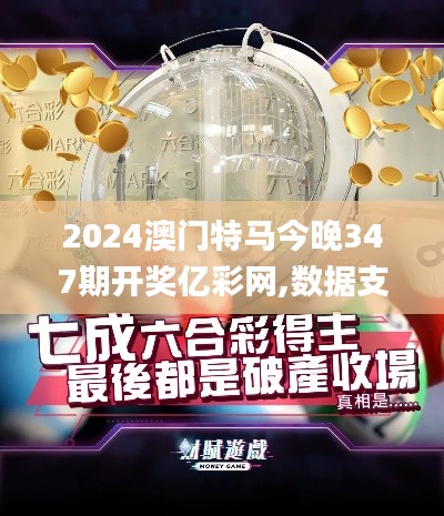 2024澳门特马今晚347期开奖亿彩网,数据支持设计计划_QHD6.694