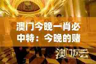 澳门今晚一肖必中特:今晚的赌桌上,谁能成为最大的赢家?