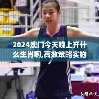 2024澳门今天晚上开什么生肖啊,高效策略实施_6DM3.146