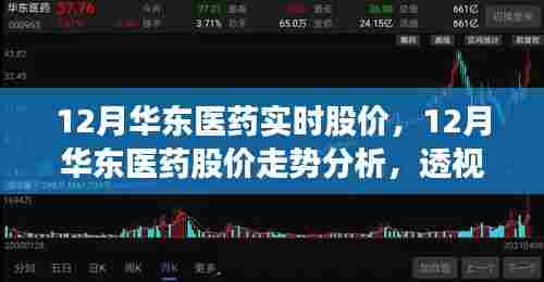透视华东医药股价走势，价值波动背后的秘密揭示（附最新十二月股价分析）