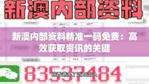 新澳内部资料精准一码免费：高效获取资讯的关键