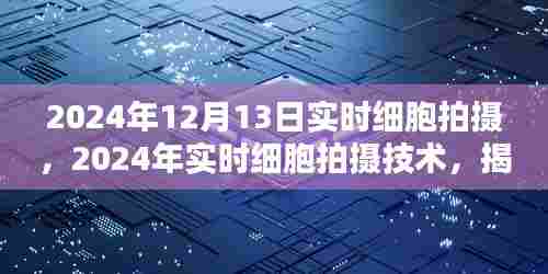 揭秘生命微观世界的奇迹，2024年实时细胞拍摄技术独家报道
