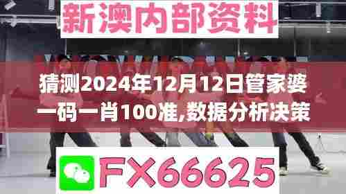 猜测2024年12月12日管家婆一码一肖100准,数据分析决策_Console6.921