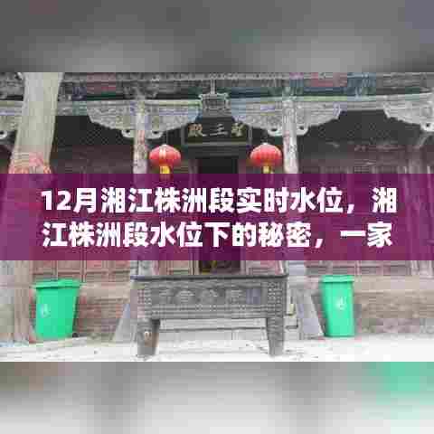 湘江株洲段水位探秘，小巷深处的独特小店与水位之谜