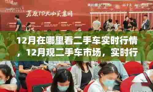 展翅欲飞 第3页