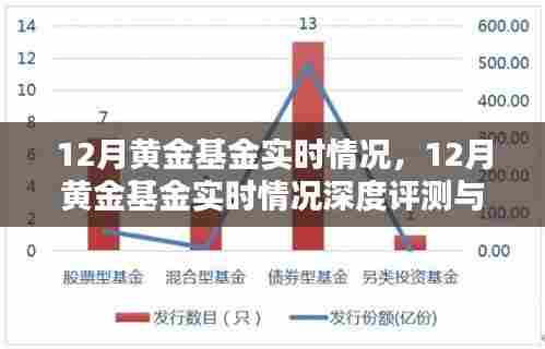 12月黄金基金实时情况深度解析与评测