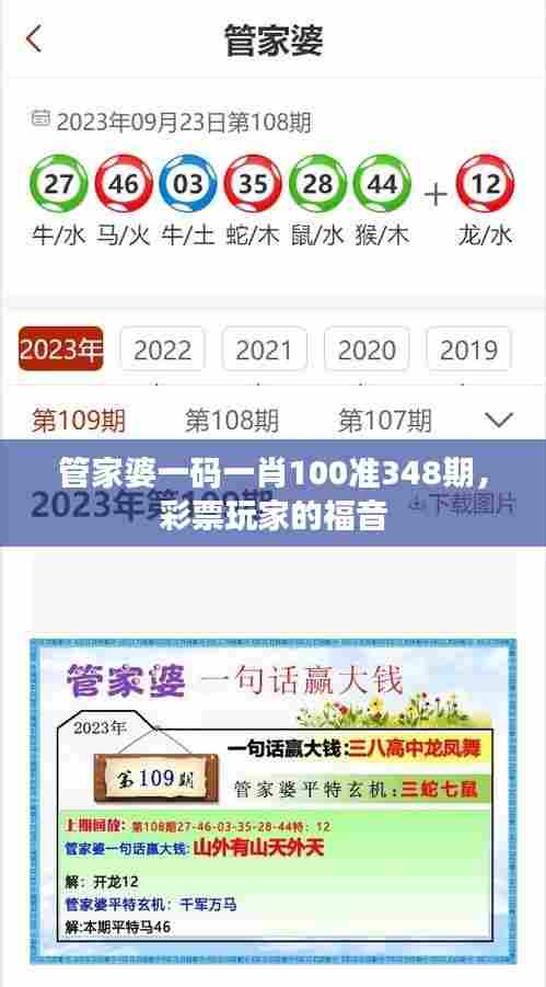 管家婆一码一肖100准348期，彩票玩家的福音