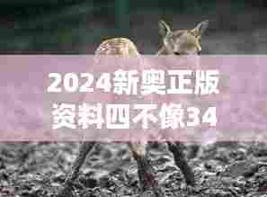 2024新奥正版资料四不像348期：激发探索精神的源泉