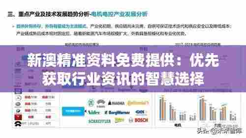 新澳精准资料免费提供：优先获取行业资讯的智慧选择