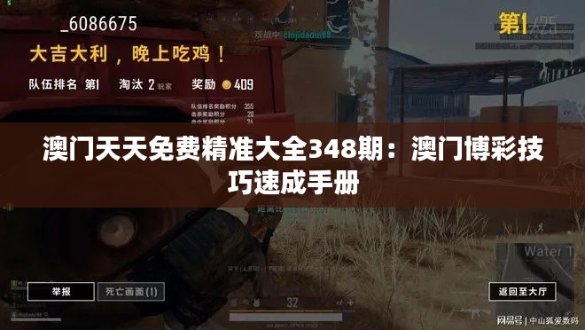 澳门天天免费精准大全348期:澳门博彩技巧速成手册