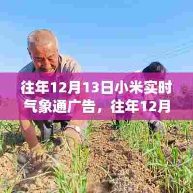 小米实时气象通广告回顾与解析，价值透视与争议评析