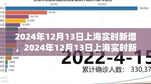 2024年12月13日上海实时新增信息获取全攻略,操作指南与步骤