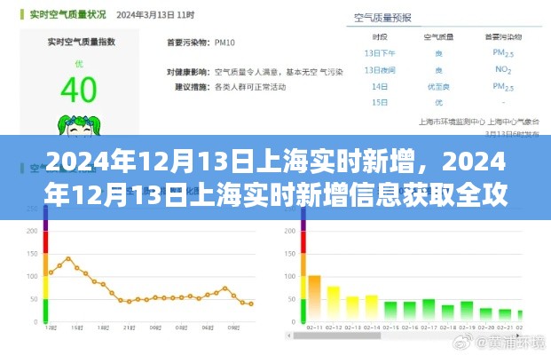 2024年12月13日上海实时新增信息获取全攻略,操作指南与步骤
