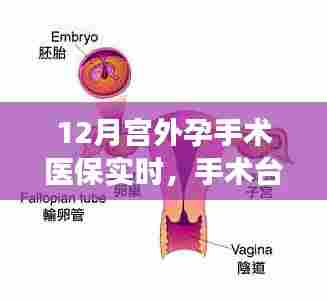 医保下的暖心瞬间，12月宫外孕手术之旅在手术台上的温情瞬间
