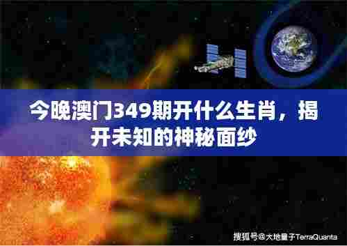 今晚澳门349期开什么生肖，揭开未知的神秘面纱