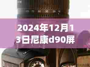 尼康D90屏幕下的摄影之旅，温馨时光与欢笑感动的一天