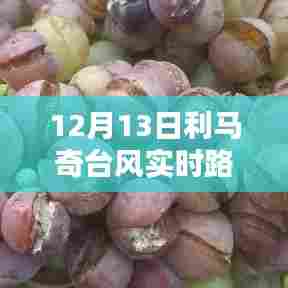 利马奇台风来袭,12月13日实时路况深度解析与报告